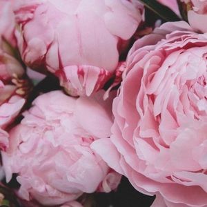 Meet your Posher, Asma